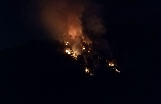 Aydos Ormanı sabaha karşı alevlere teslim oldu