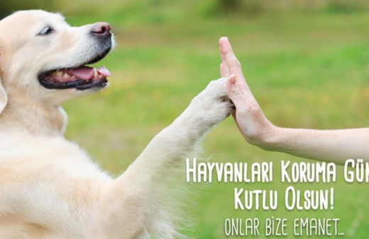 4 Ekim Hayvanları Koruma günü mesajları ve sözleri
