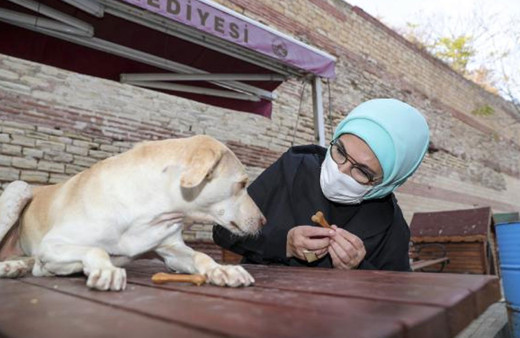 Emine Erdoğan "Leblebi" isimli engelli köpeği sahiplendi