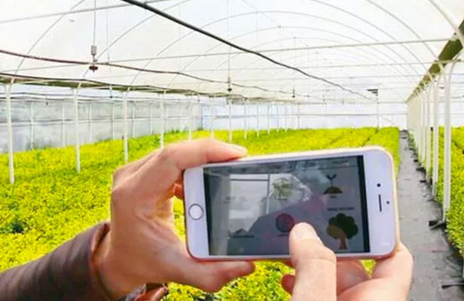 Tarım Bakanlığı'nın akıllı sulama uygulaması ile verim %26 arttı