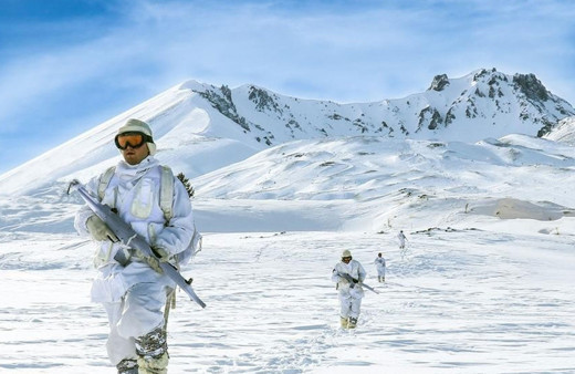 Son dakika Bitlis ve Siirt'te Eren-6 Mergelo Operasyonu başlatıldı