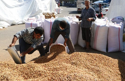 Şanlıurfa'da fıstıkları koyacak yer kalmadı