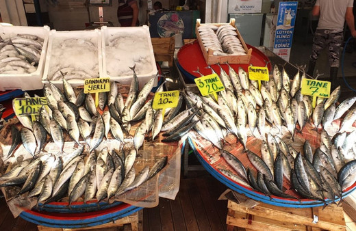 Palamut bolluğu bitti! Fiyatlar bir günde ikiye katlandı