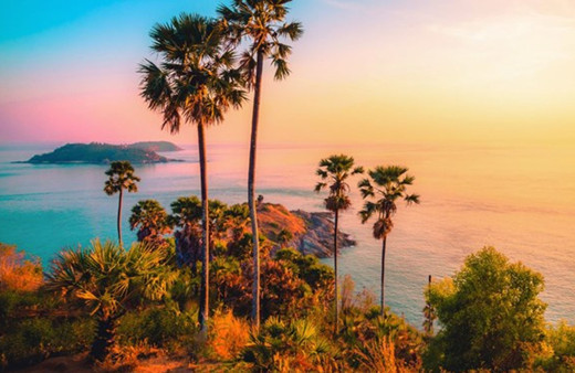 Otele kötü yorum yapan ABD'li turist hayatının şokunu yaşadı