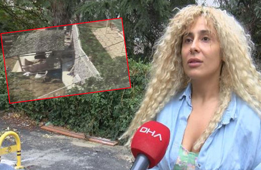 Sarıyer'de tüyler ürperten olay! Sahiplendikleri köpeklere işkence ettiler