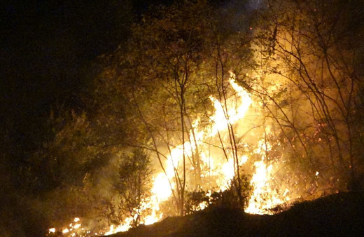 Trabzon'da otluk alanda çıkan yangın 1 saatte söndürüldü