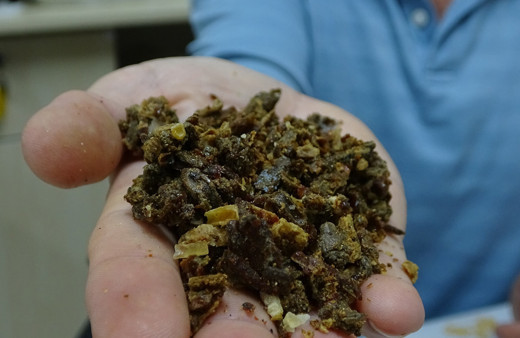 Bursa'da üretiliyor! Litresi 2 bin 500 lira taleplere yetişemiyorlar