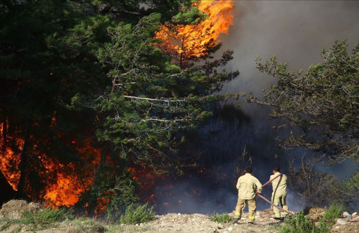 MHP Milletvekili Lütfi Kaşıkçı'dan yangınlarla ilgili provokatif paylaşımlara suç duyurusu