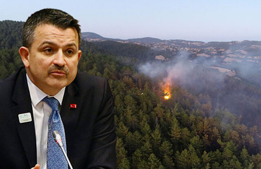 Hatay'da yanan orman yeniden ağaçlandırılacak Pakdemirli açıkladı!