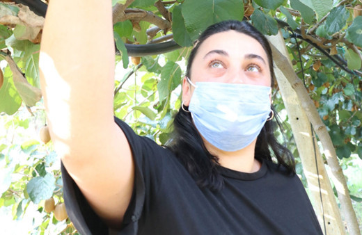 İstanbul'da geçim sıkıntısı çekti köyüne döndü işini kurdu kazancı da iyi