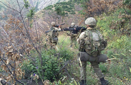 Şırnak'ta iki terörist etkisiz hale getirildi