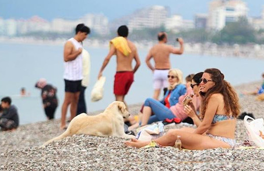 Milyonların beklediği 5 günlük tatil fırsatı! Yılın son tatilinde yer kalmadı