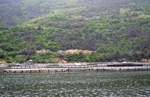 Japonlar Samsun'dan alıyor! Beğenince üretim artırıldı