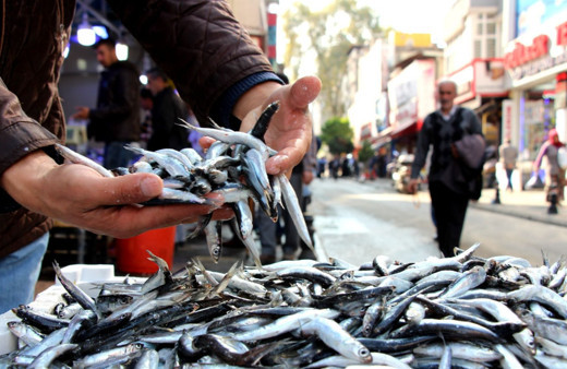 Koronavirüse karşı 'balık tüketin' önerisi taze balık nasıl anlaşılır ne şekilde tüketilmeli?
