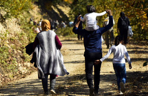 Türkiye'nin 'canlı ağaç müzesi' Örümcek Ormanları'nda Sonbahar cümbüşü
