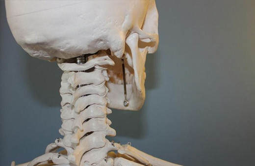 Bilim insanları kafatasında yeni bir organ bulduklarını açıkladı