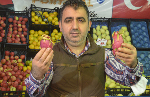 Eskişehir'de bu meyveye gören bir daha bakıyor! Tanesi 20 lira