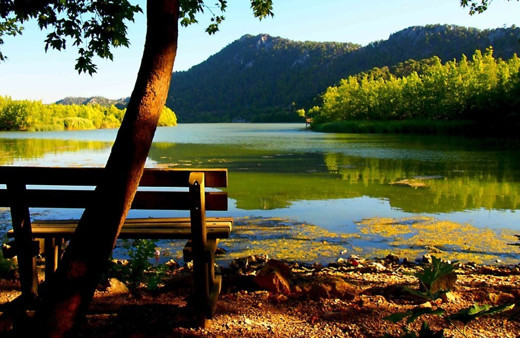 Isparta'da 1970'de korumaya alındı! Gören herkes hayran kaldı