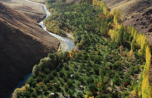 Van'da herkes 'yapamazsın' dedi! Azmetti başardı bu hale getirdi