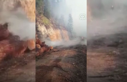 Gümüşhane Valisi'nden açıklama geldi! Örümcek Ormanları'nda yangın çıktı