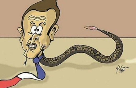 Moritanyalı karikatürist Halit İdris Macron karikatürü nedeniyle işini kaybetti