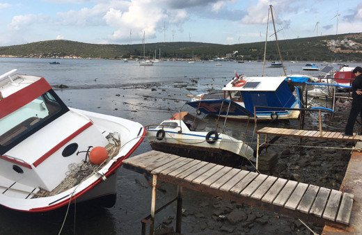 Tsunami sonrası Sığacık balçık ve çamura battı! Büyük bir gürültüyle geldi