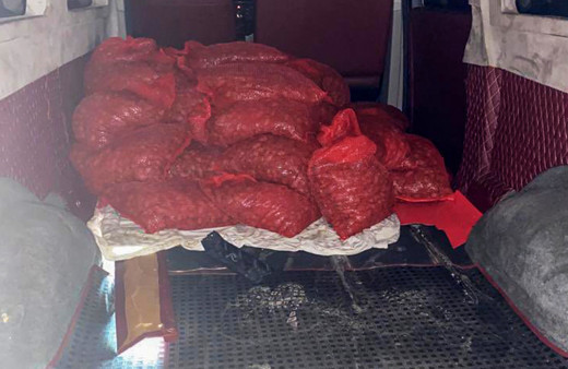 Edirne'de 500 kilo ele geçirildi! 100 bin TL ceza kesildi