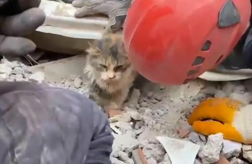 İzmir depremi! Rıza Bey Apartmanı enkazından 4 can daha kurtarıldı