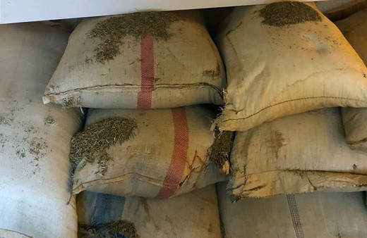 Kilis'te çuval çuval ele geçirildi! Değeri 573 bin lira
