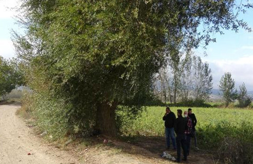 Yıldırım çarpan annesini kurtaran Gamze: Annemden yanık kokusu geliyordu