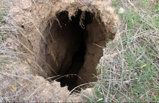 Afyonkarahisar'da ürküten görüntü! Fay hattı boyunca yarık ve obruk çıktı