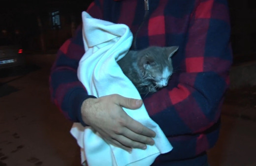 Ankara'da faciayı kedinin çıkardığı sesler engelledi! Canlarını son anda kurtardı