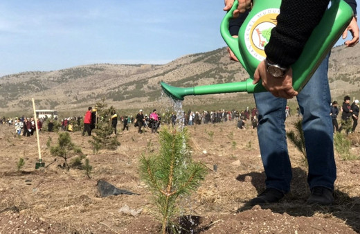 Geleceğe Nefes Ol Kampanyası ücretli mi fidan dikme kaç para?