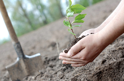 Geleceğe Nefes katılım belgesi nasıl alınır sorgulama ekranı 2020