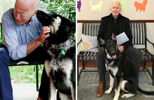 Bunu yapmayan tek ABD Başkanı Trump'tı! Biden Major'u da yanında getiriyor