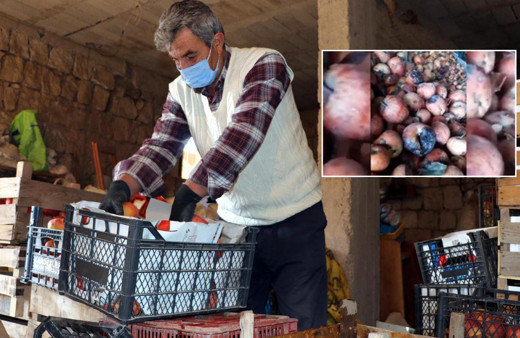 Kayseri'de 'çürük elmalardan meyve suyu' iddiasına Bakanlıktan flaş açıklama!