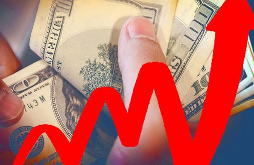 231 milyar doları aşan döviz hesapları rekor kırdı