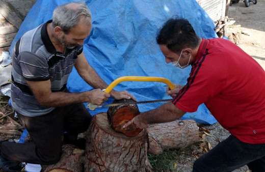 Sürmene'de kestiği ağacın gövdesindeki figür şaşırttı İlk gördüğümde bir korku hissettim