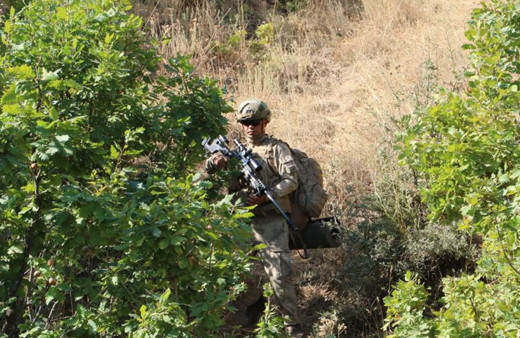 Bitlis’te 'Yıldırım-15 Mutki-Sarpkaya' operasyonu başlatıldı