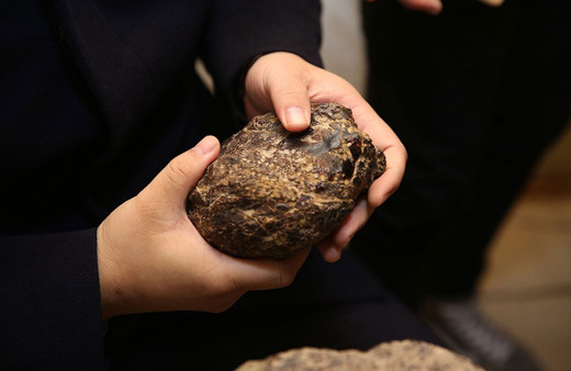 Köylülüler yıllarca çıra zannedip yaktı! Gramı altınla yarışan kehribara Çin talip oldu