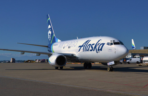 ABD'de piste inen uçağın çarptığı bozayı öldü