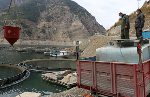 Dünyanın en iyisi Gümüşhane'de! Denizi yok ama Rusya'ya ihraç ediyor
