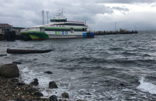 İDO ve BUDO'da sefer iptalleri