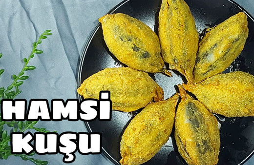Hamsi kuşu nasıl yapılır malzemeleri nelerdir?