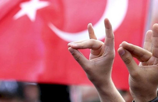 Fransa ve Almanya’dan sonra Hollanda da Ülkücüleri yasaklıyor!