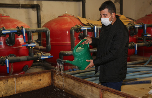 Şırnak'ta günde 1 saat çalışıp ayda 3 ton üretiyor! Paraya para demiyor