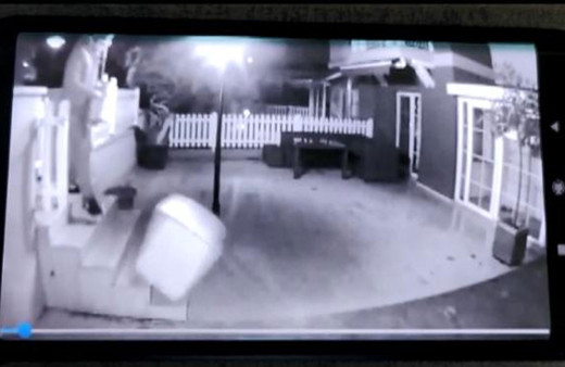 İstanbul'da kargo görevlisi rezaleti! Taşıdığı koliye bakın ne yaptı