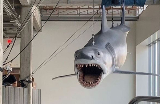 ABD'de Jaws filminde kullanılan dev köpekbalığı yenilendi