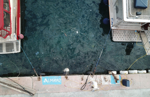 İstanbul'da korkutan görüntü! Boğazı istila ettiler sahil beyaza büründü