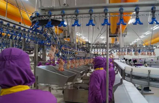 Suudi Arabistan Türkiye'den hayvanî ürün ithalatını yasaklaladı